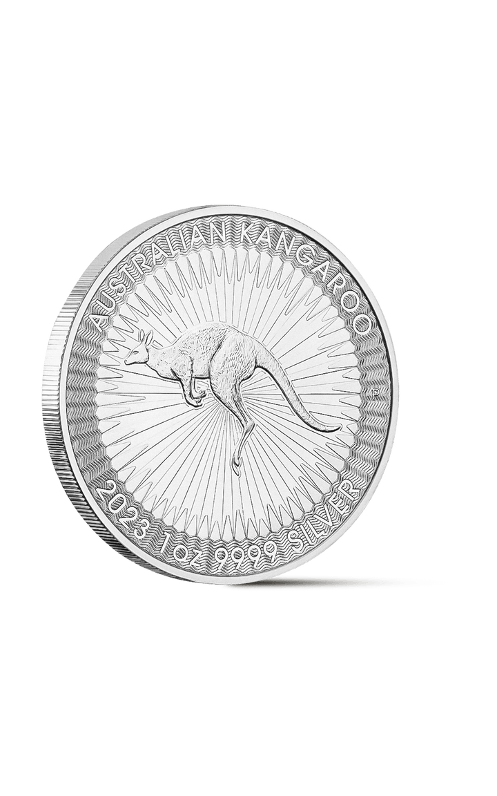Pièce Nuggets 1 Once Argent - GoldUnion